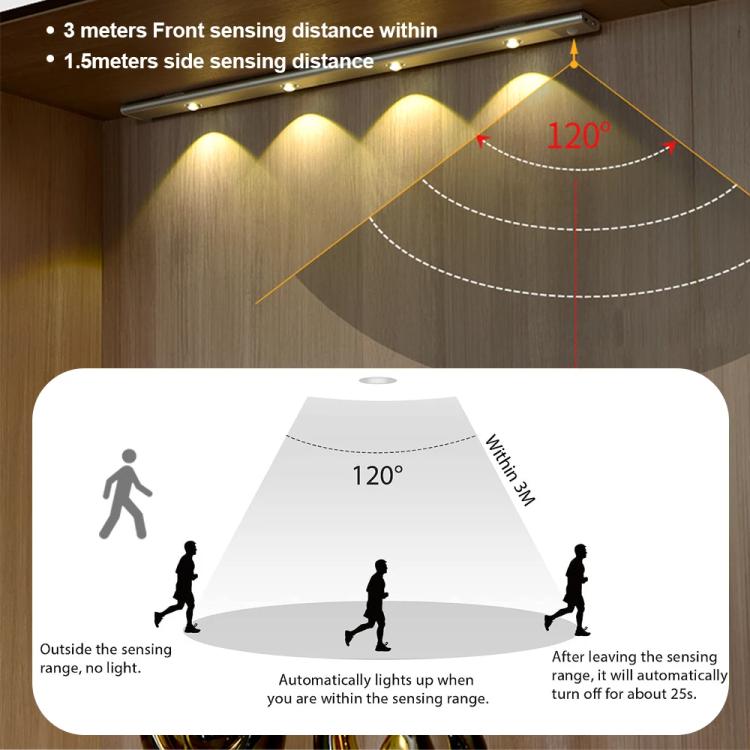 TBD06058395_B3.jpg@a67a72453d81ff3d4c8d2761ef7b2521